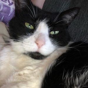 Meet your Posher, Jenna